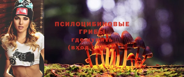 прущий лед Алексин