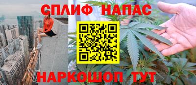 кокс Можга