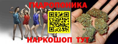 кокс Можга