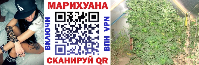 купить  цена  OMG   Шишки марихуана THC 21%  Волгоград 